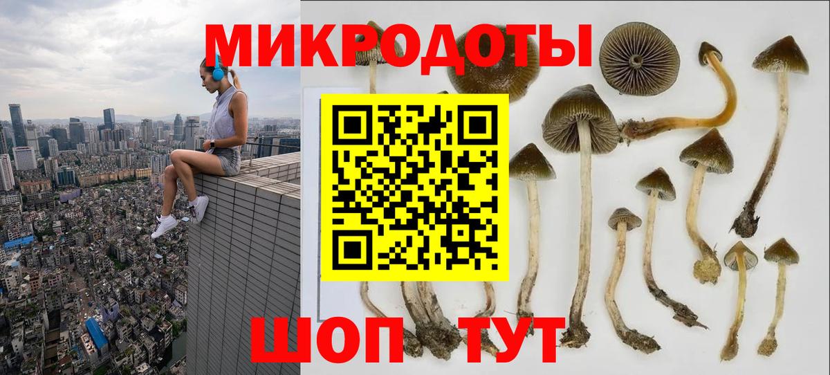 Нальчик  Галлюциногенные грибы GOLDEN TEACHER  Вход с VPN 